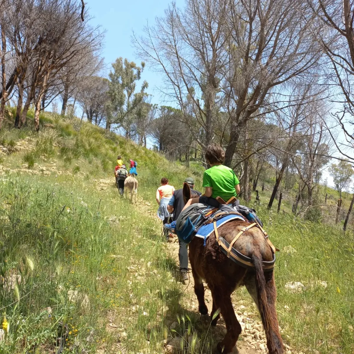 E-bike Tour: Castello di Pietratagliata e Gresti
